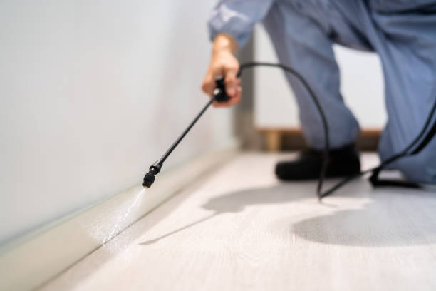 Licensed Cockroach Control service in Bristol Bay Borough County, AK - Nex Pest Control